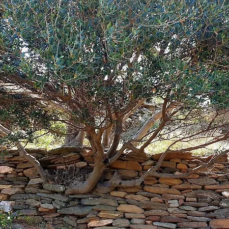 Traditional Stone House 1bedroom, Sea View, 펜션 아노 시로스